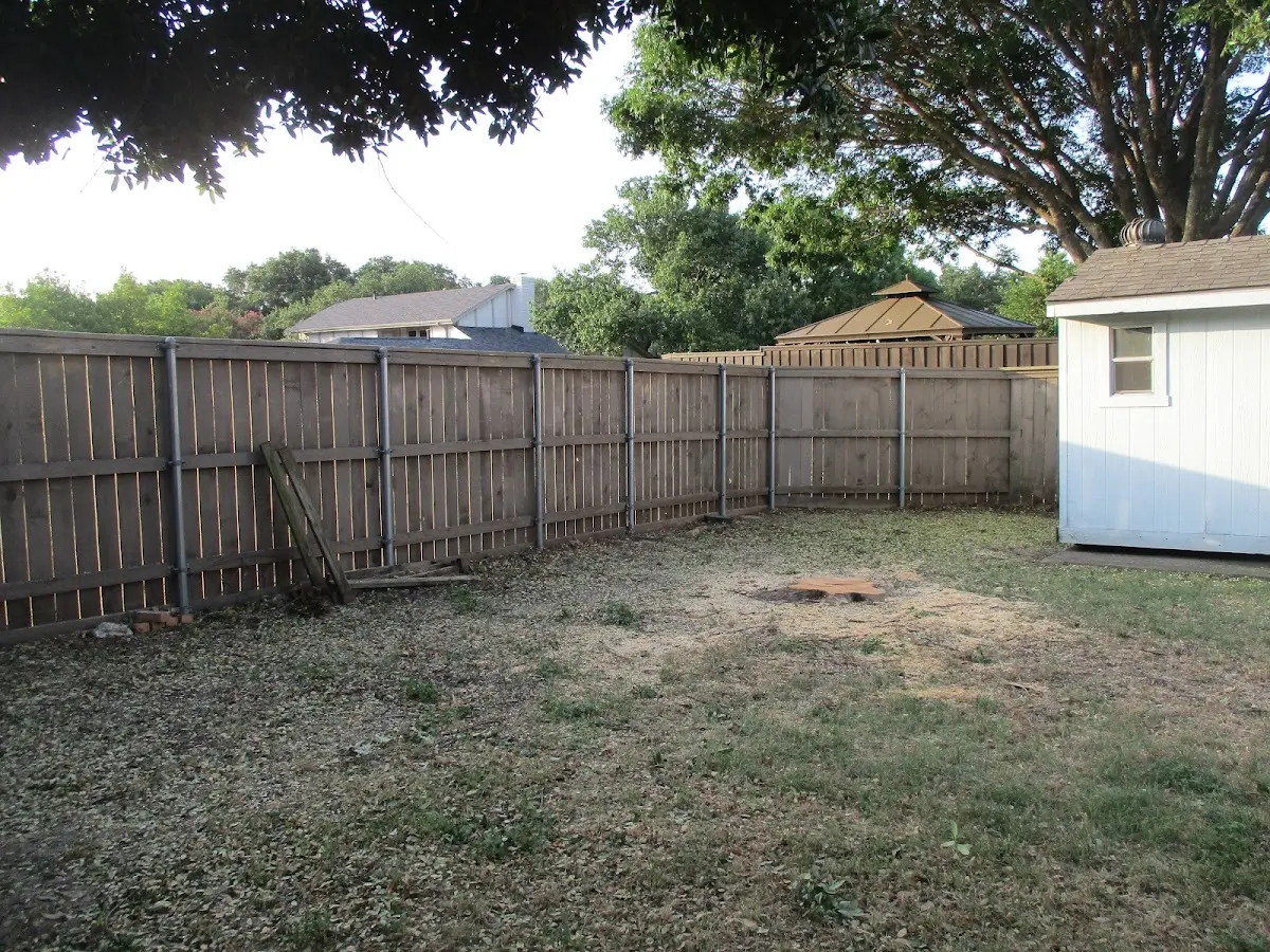 Cleared yard after professional tree removal in Steptoe